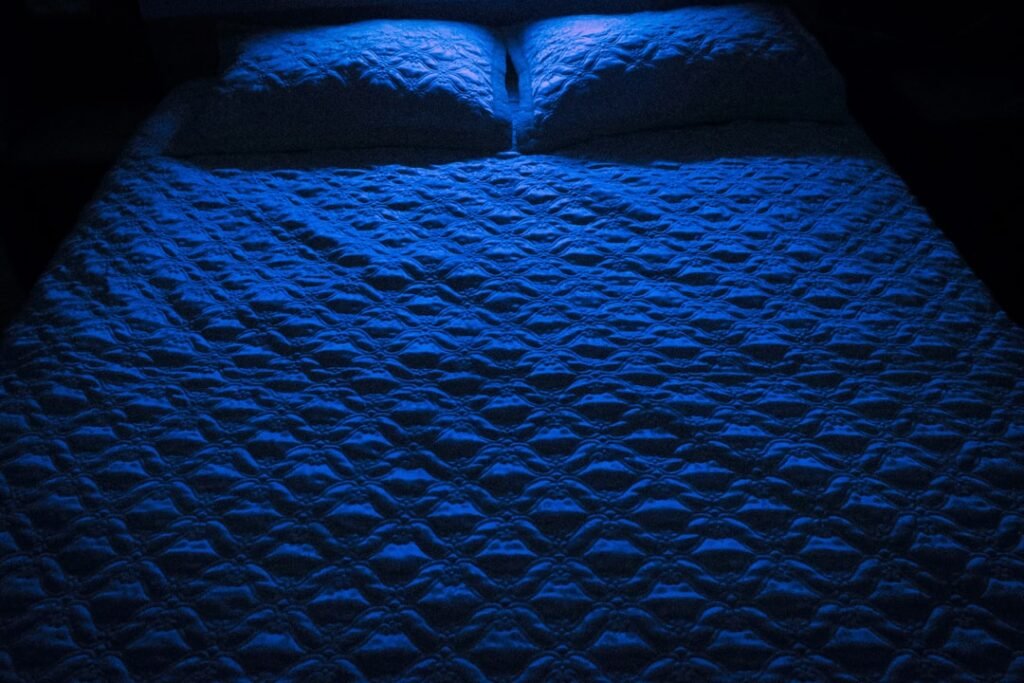 Le traitement thermique contre les punaises de lit est-il vraiment efficace ?