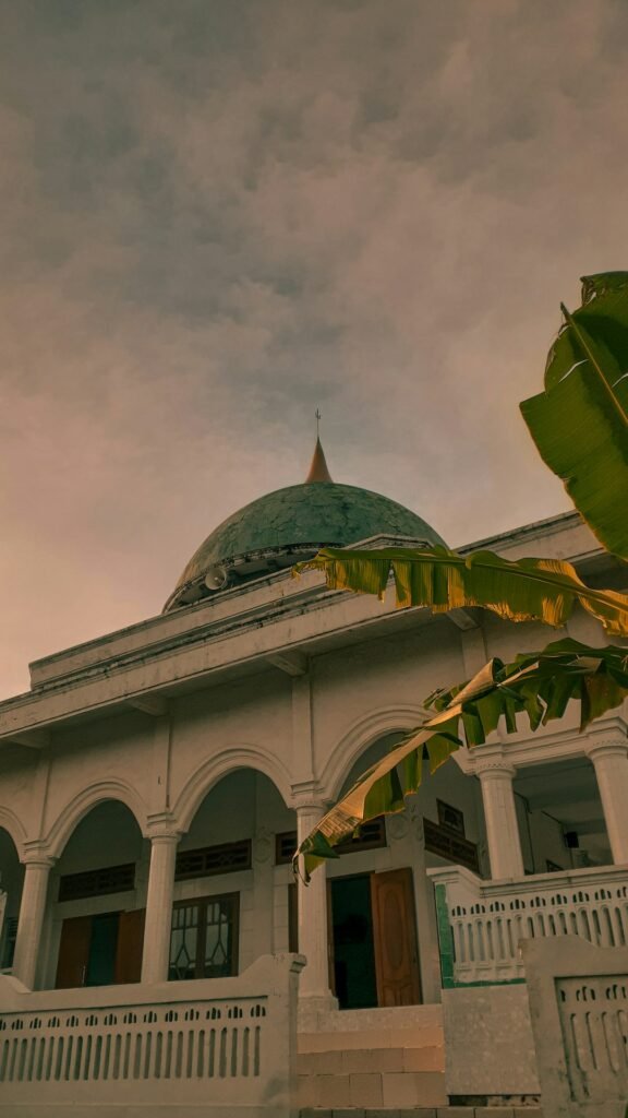 Désinsectisation avant déménagement : Pourquoi c'est indispensable pour votre nouveau logement