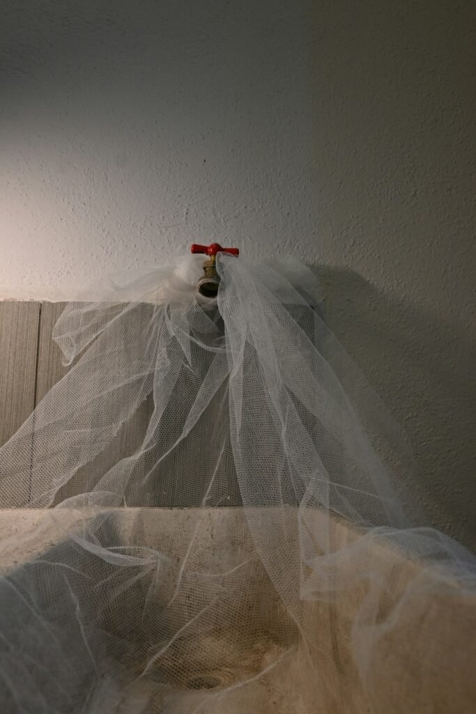 Combien de temps vit une punaise de lit sans manger ? (Spoiler : C'est effrayant)