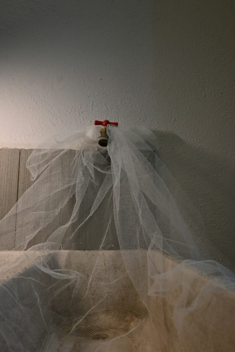 Combien de temps vit une punaise de lit sans manger ? (Spoiler : C'est effrayant)