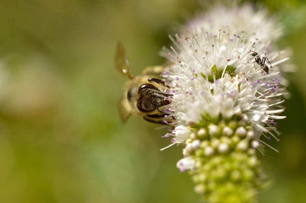 Comment se débarrasser des mites alimentaires dans les placards ?