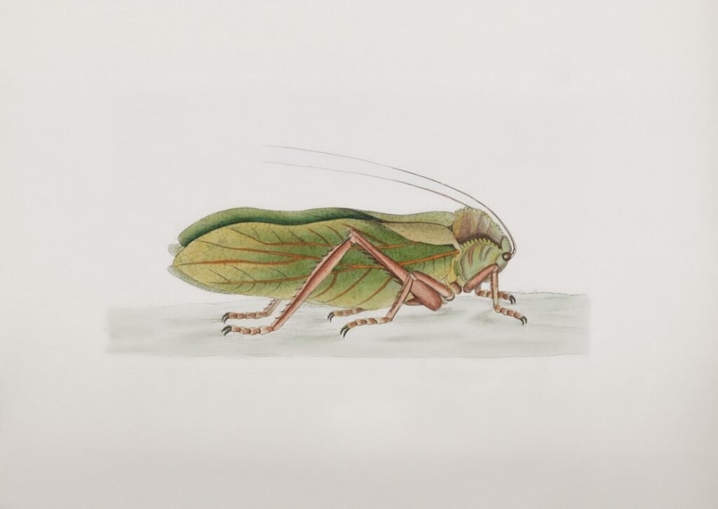 Traitement de choc anti-cafards : la nébulisation expliquée