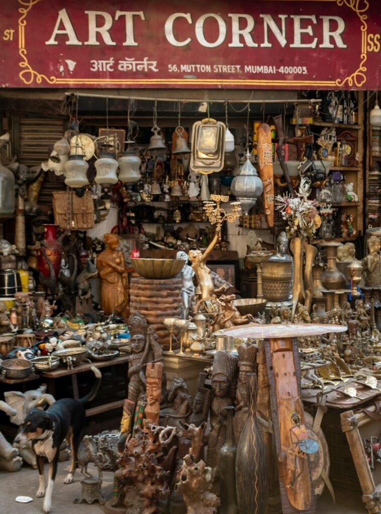 Puces chez le chat/chien : pourquoi traiter aussi la maison ?