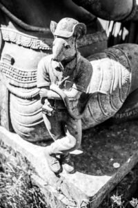 Dératisation à Argenteuil (95) : Val-d'Oise expert