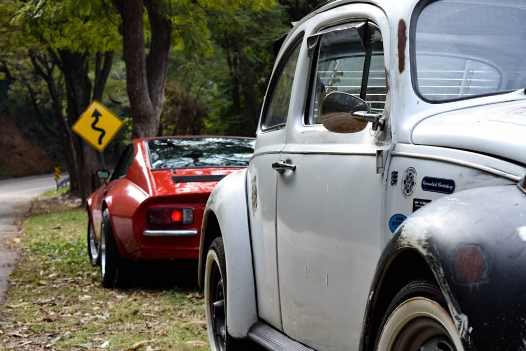 Pigeons sur le balcon : les maladies respiratoires (Poumon de l'éleveur)