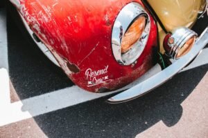 Sécurité de vos animaux domestiques pendant une dératisation