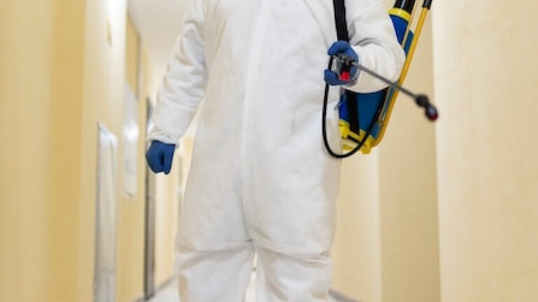 Infestation de rats : pourquoi privilégier une dératisation en urgence ?