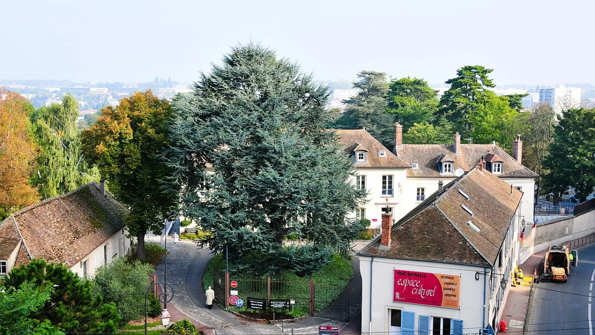 Longjumeau, commune où SecuriPest intervient contre les nuisibles