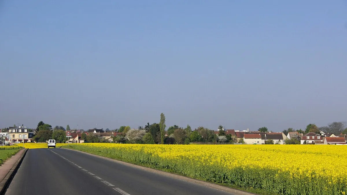 Noiseau, commune où SecuriPest intervient contre les nuisibles